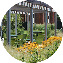 A covered outdoor seating area next to prairie flowers and plants