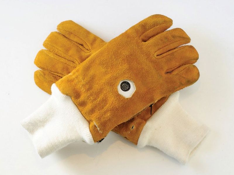 Pair of high-tech gloves