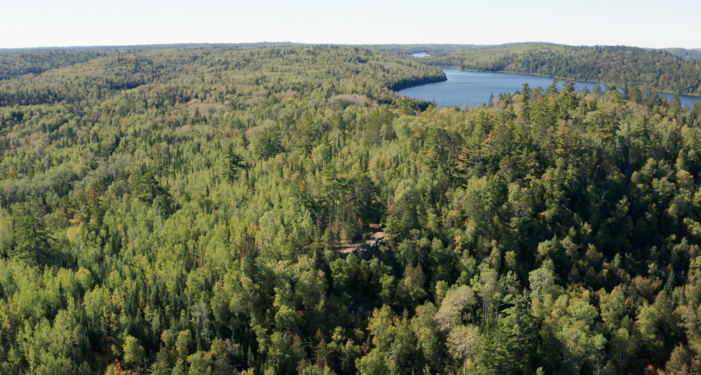 A vast high up view of a forest with a river in the distance on the right