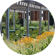 A covered outdoor seating area next to prairie flowers and plants