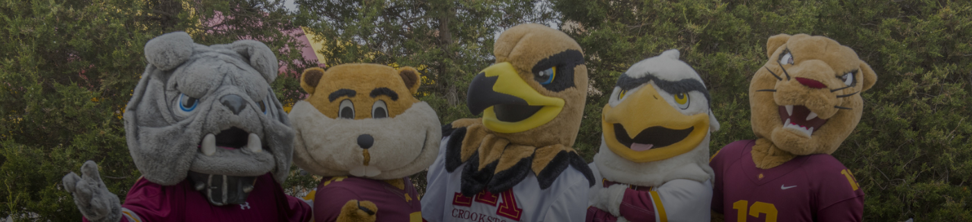 mascots representing the five system campuses