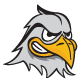 Raptor, University of Minnesota Rochester mascot mascot