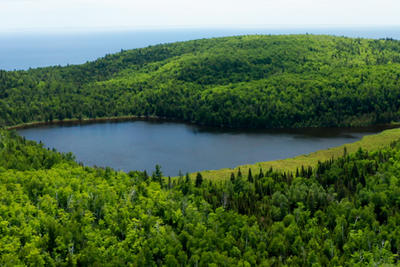 A vast high up view of a rolling forest with a lake in the middle